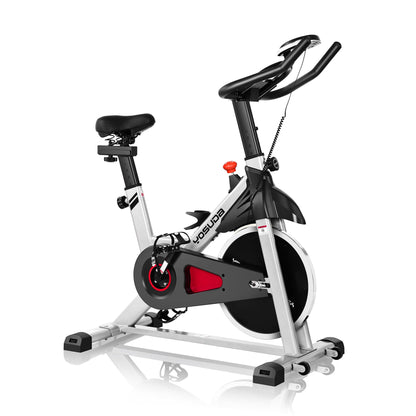 YOSUDA YB001R Magnetic Exercise Bike